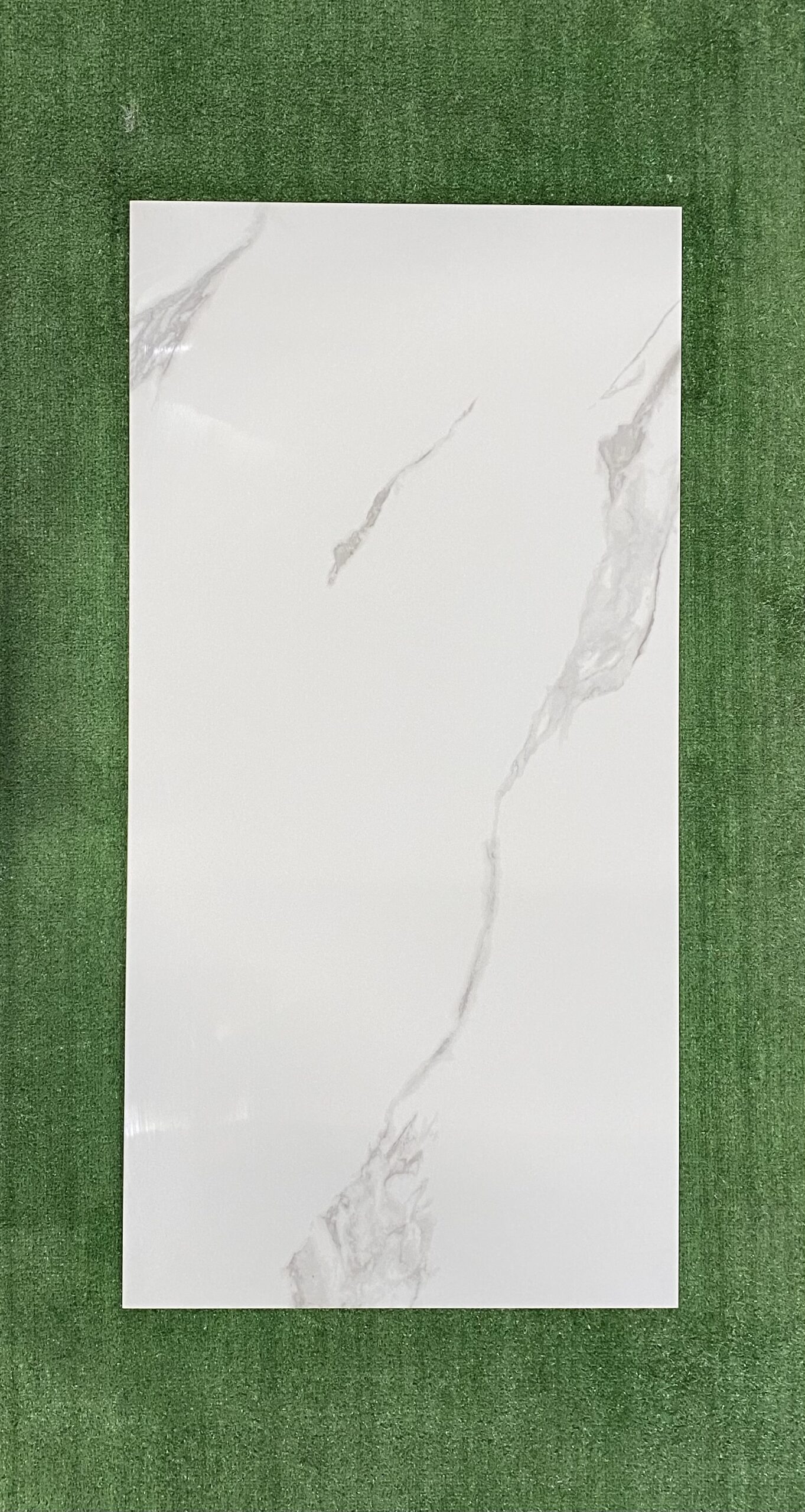 MICHELANGELO - immagine 2