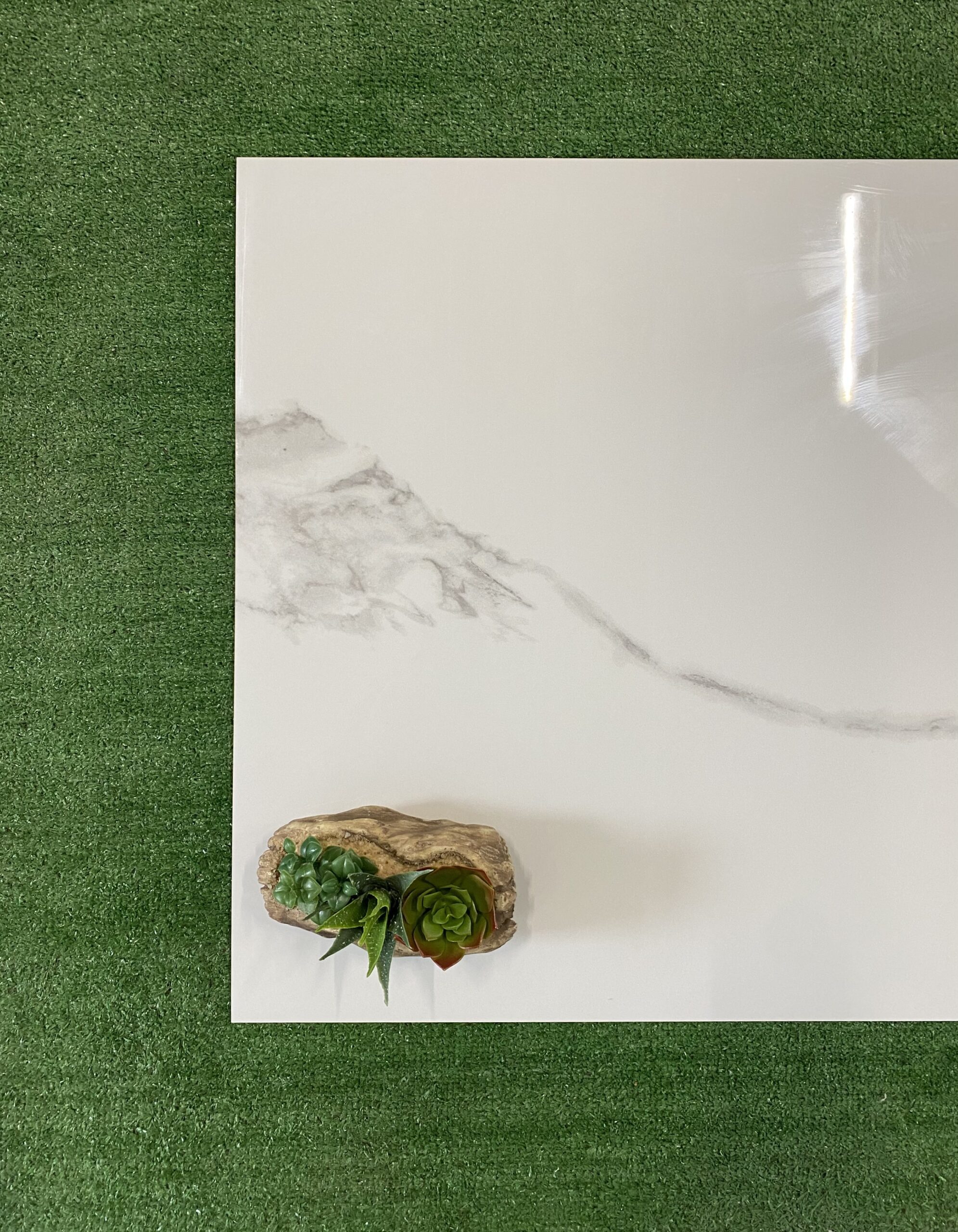 MICHELANGELO - immagine 3